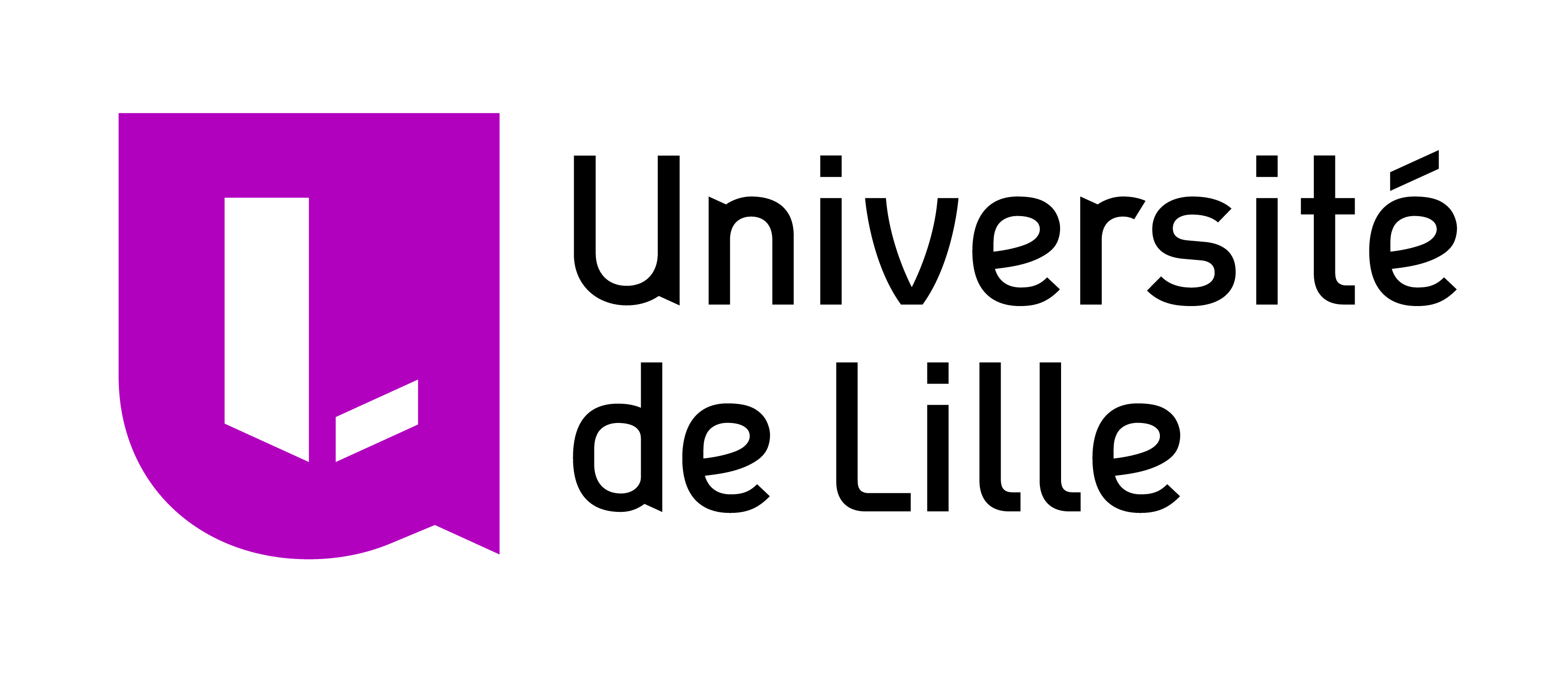 University of Lille